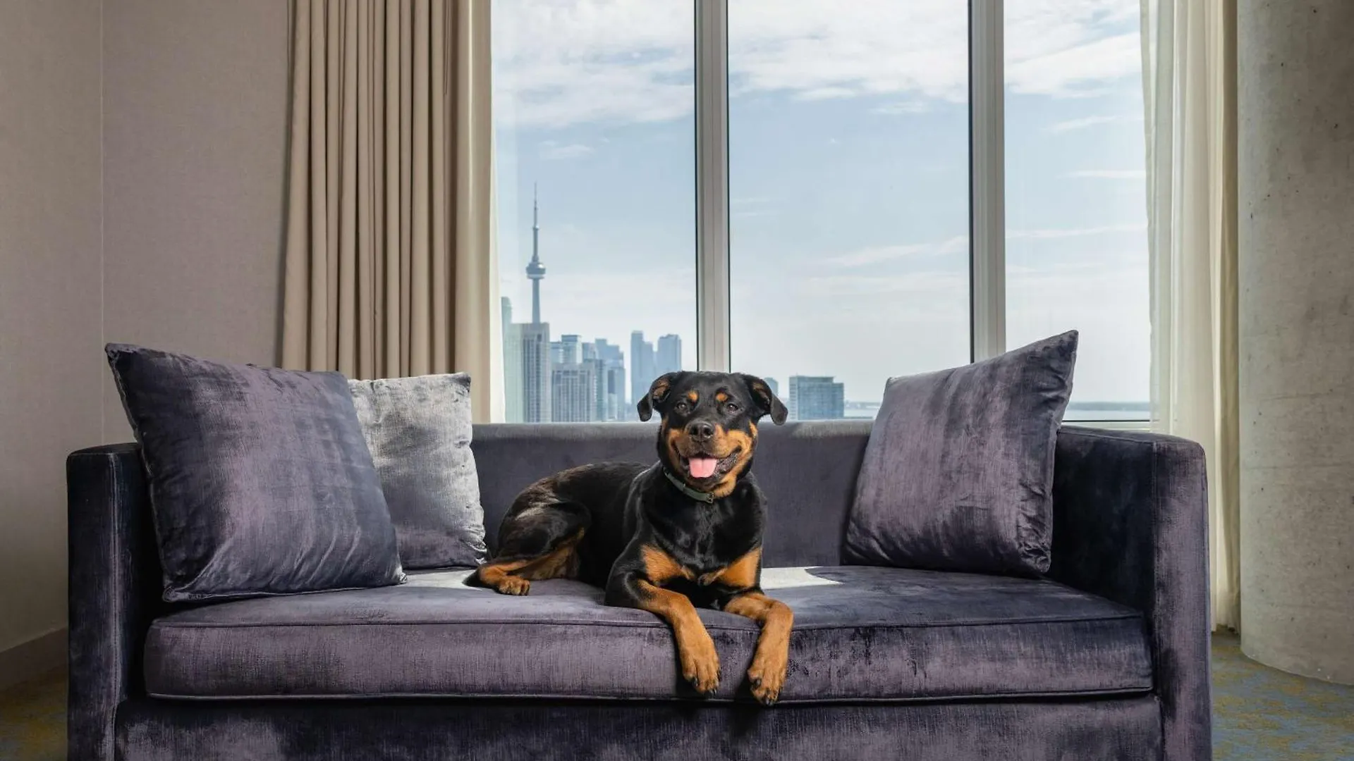 Hotel X Toronto, A Destination By Hyatt Hotel Canada